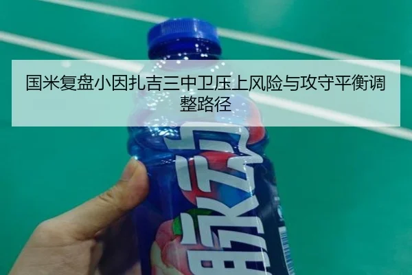 国米复盘小因扎吉三中卫压上风险与攻守平衡调整路径